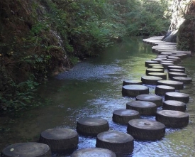 游步道